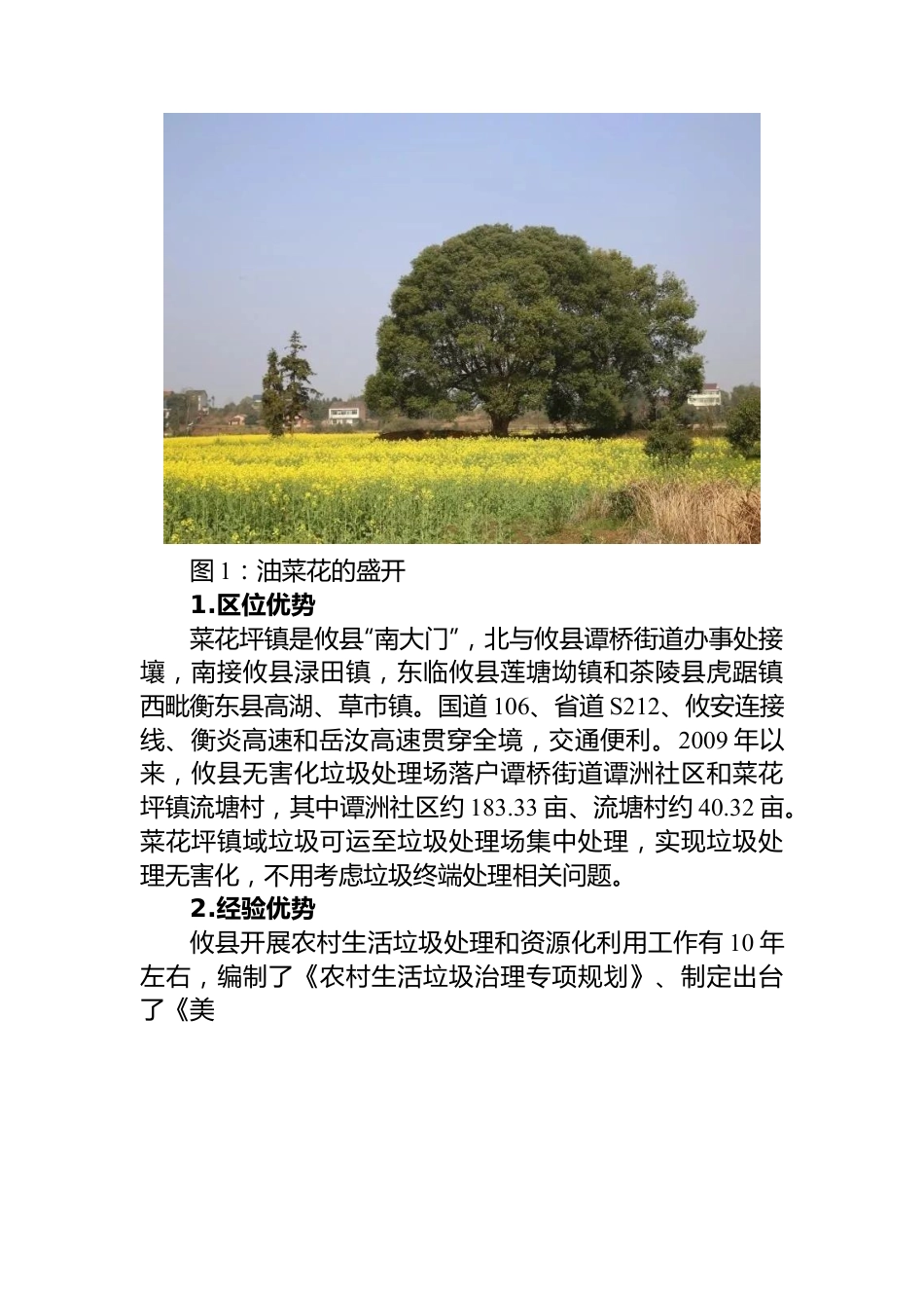 攸县菜花坪镇农村人居环境整治调研报告.docx_第2页