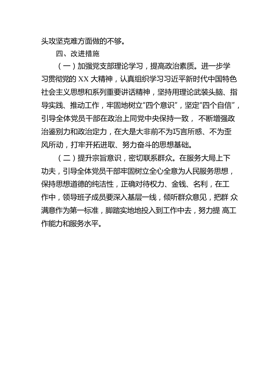 党支部关于第一议题制度建立和执行情况的报告.docx_第3页