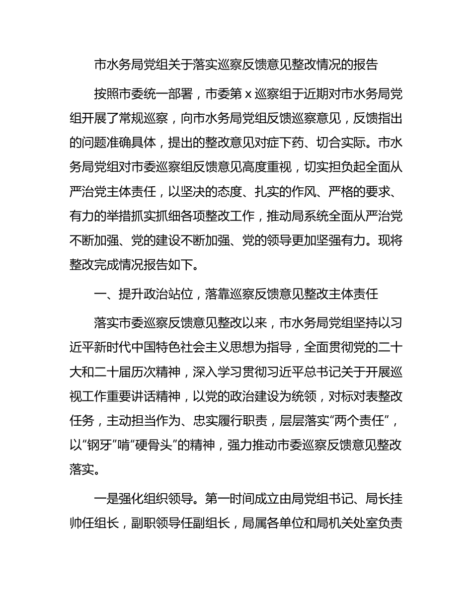 市水务局系统落实巡察反馈意见整改情况的报告（2000字总结）.docx_第1页