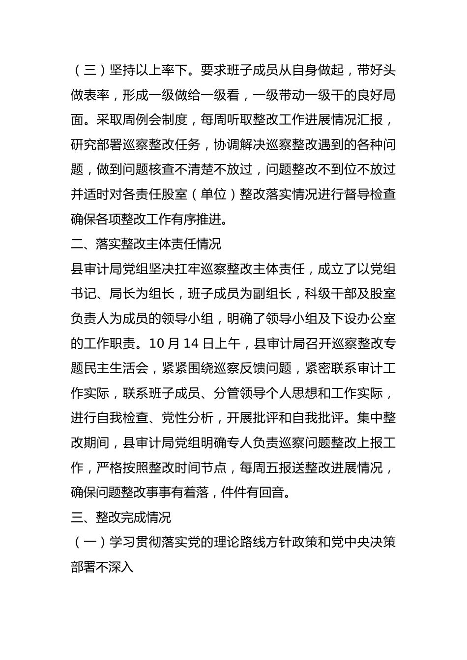 县审计局党组关于巡察整改情况的报告总结.docx_第2页