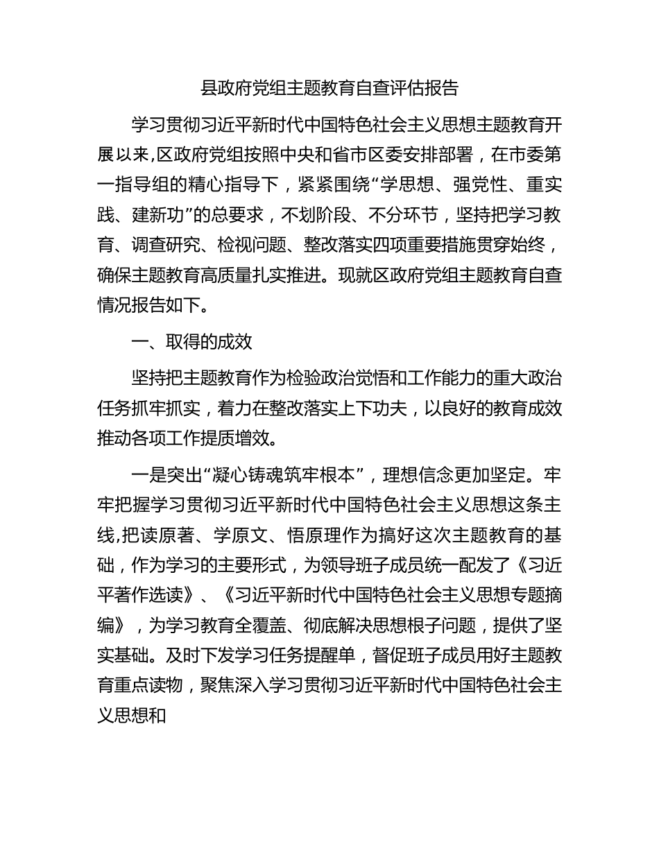 县政府党组主题教育自查评估报告.docx_第1页