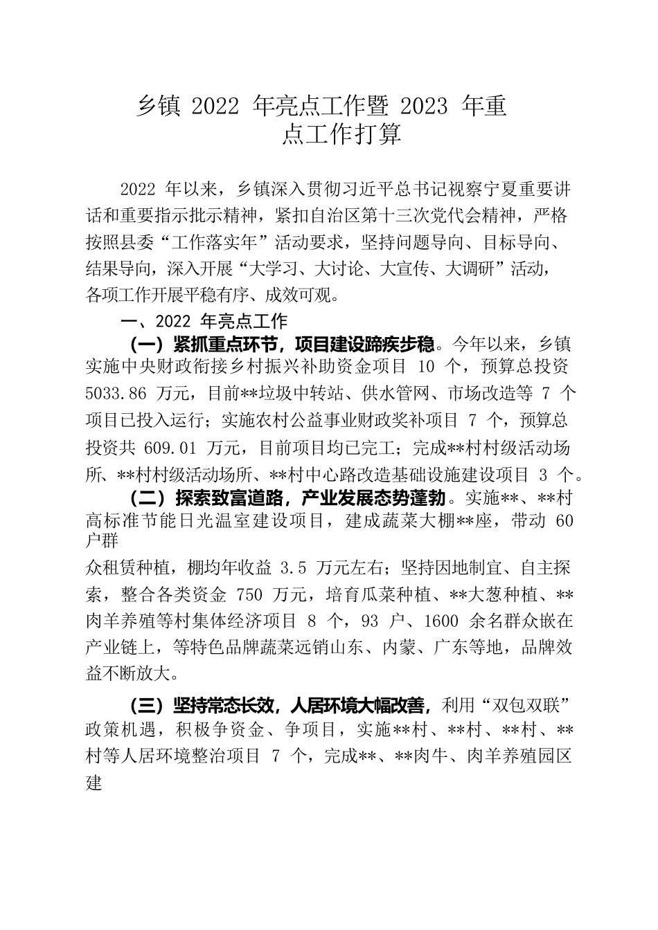 2022年亮点工作暨2023年重点工作打算.docx_第1页