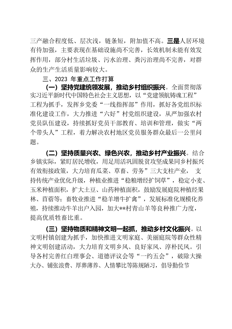 2022年亮点工作暨2023年重点工作打算.docx_第3页