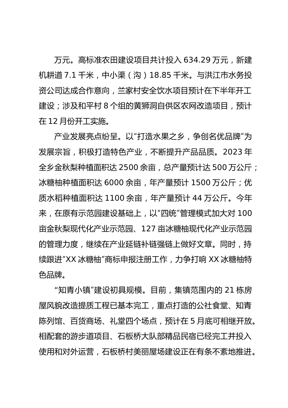 XX乡2023年上半年工作总结及下半年目标任务和工作安排.docx_第3页