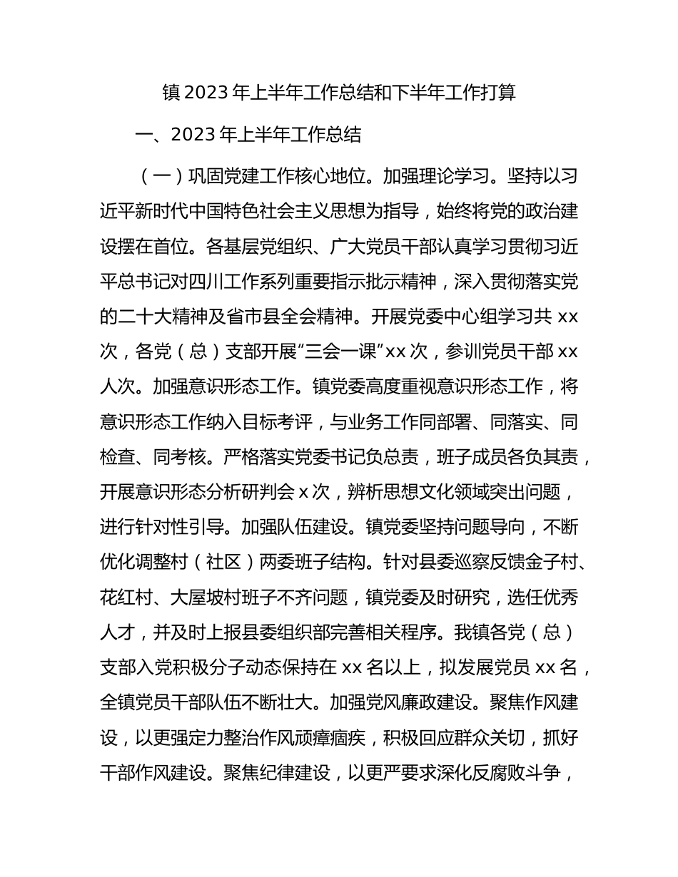 乡镇2023年上半年工作总结和下半年工作打算.docx_第1页