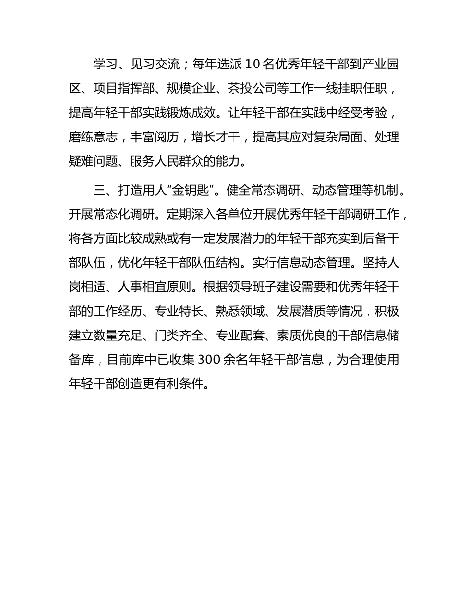 年轻干部队伍建设工作汇报.docx_第2页