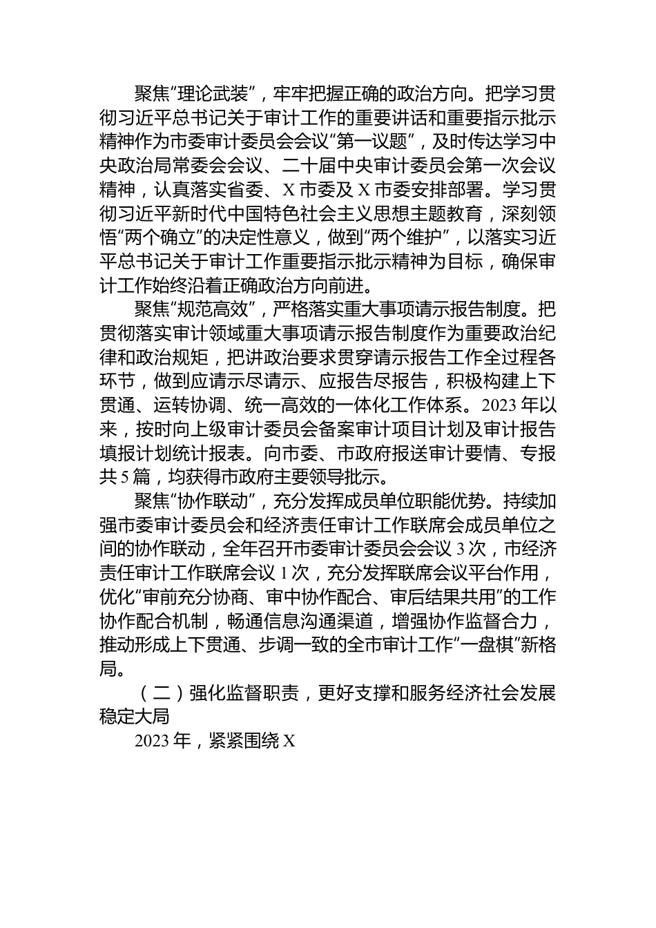 2023年度X市审计工作总结.docx_第2页