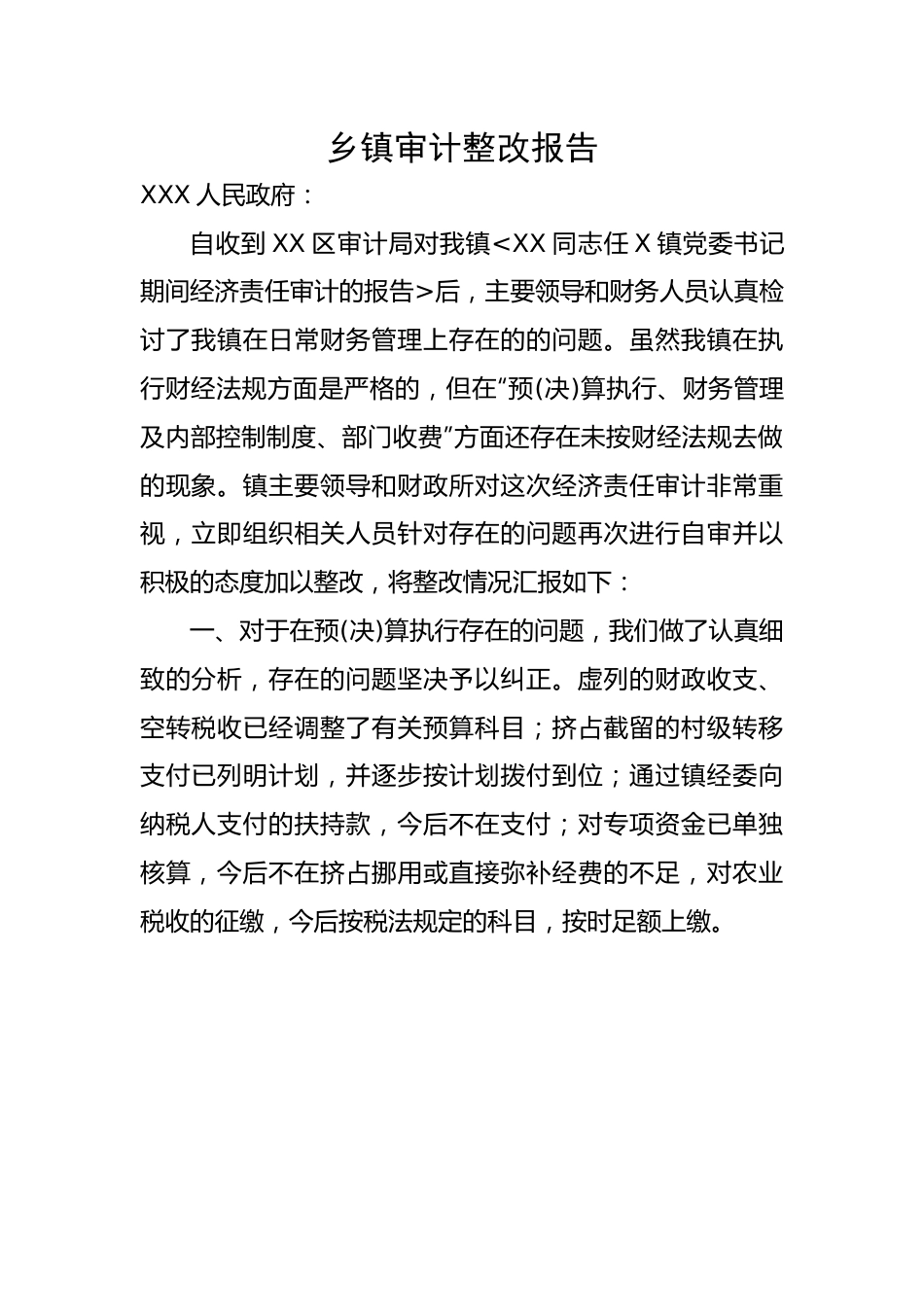 乡镇审计整改报告.docx_第1页