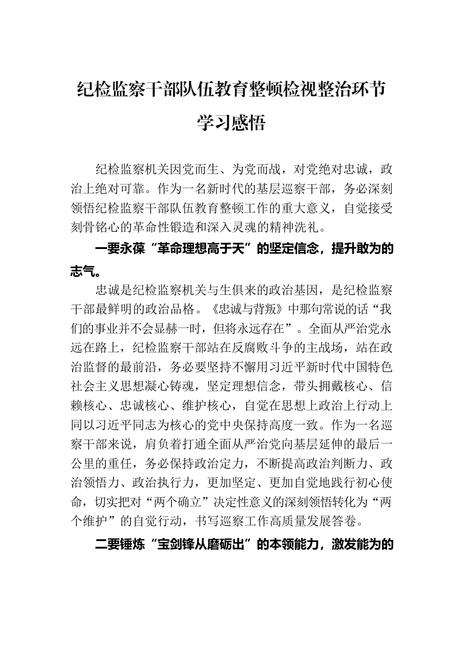 纪检监察干部队伍教育整顿检视整治环节学习感悟.docx_第1页