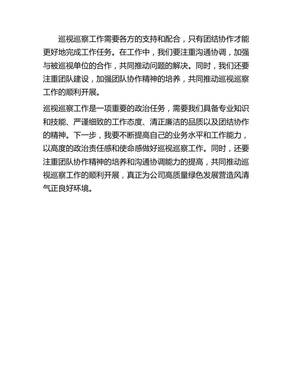 巡视巡察工作感悟体会征文.docx_第3页