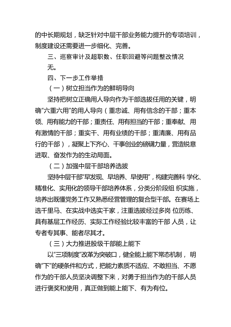 2022年度公司领导人员选拔任用工作报告.docx_第3页