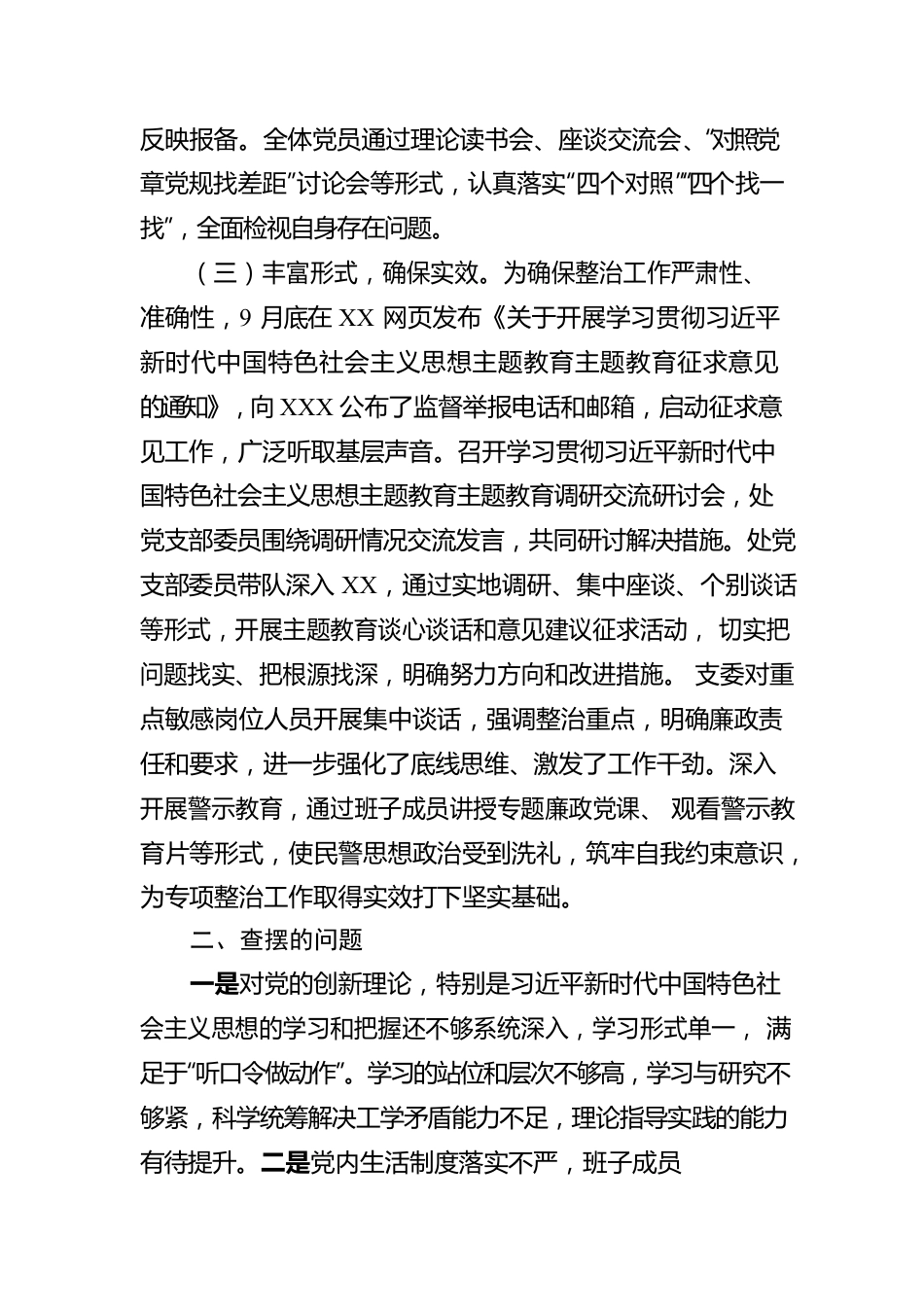 党支部关于专项整治情况的报告.docx_第2页