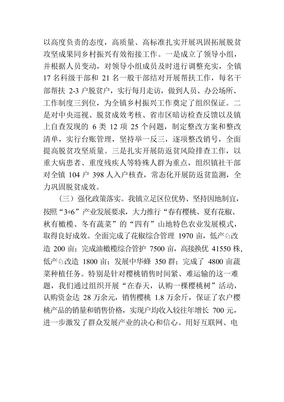 乡镇行乡村振兴工作第一责任人职责情况报告.docx_第2页