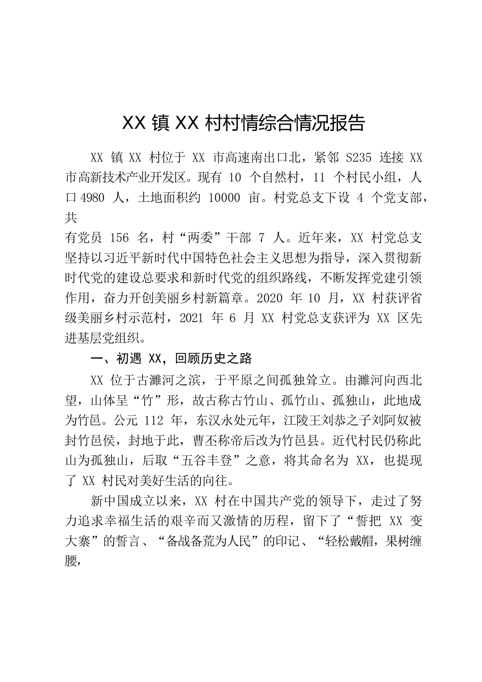 村情综合情况报告.docx_第1页