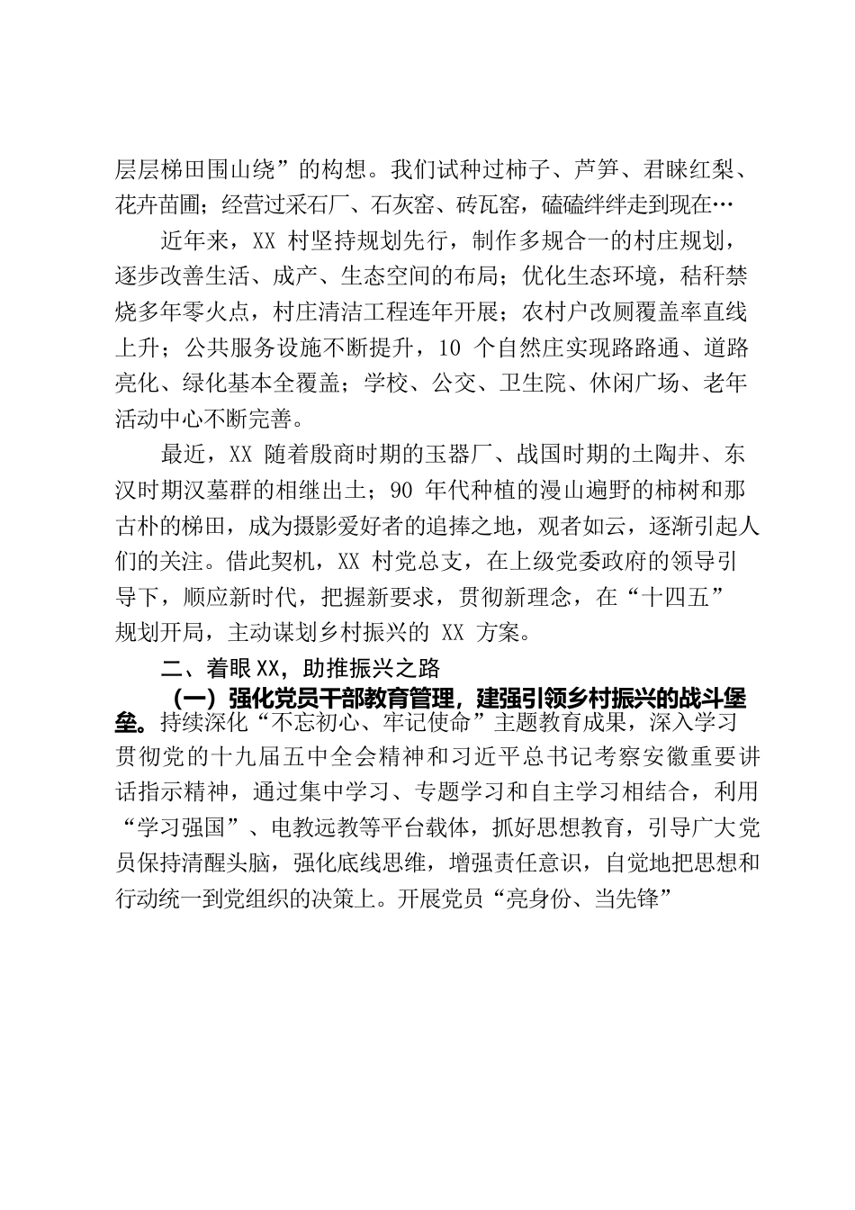 村情综合情况报告.docx_第2页