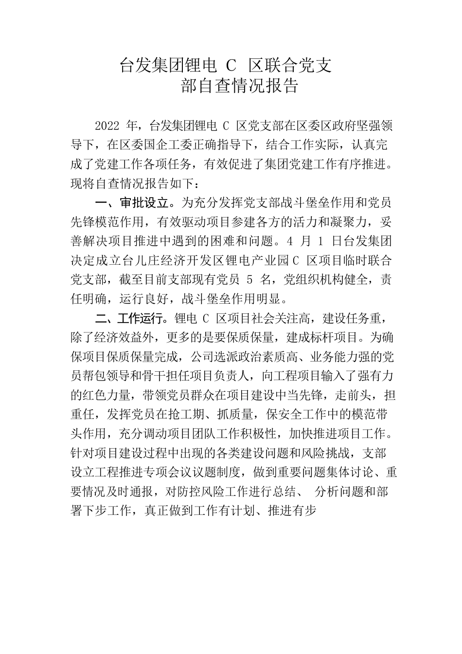 台发集团锂电C区临时党支部自查情况报告.docx_第1页