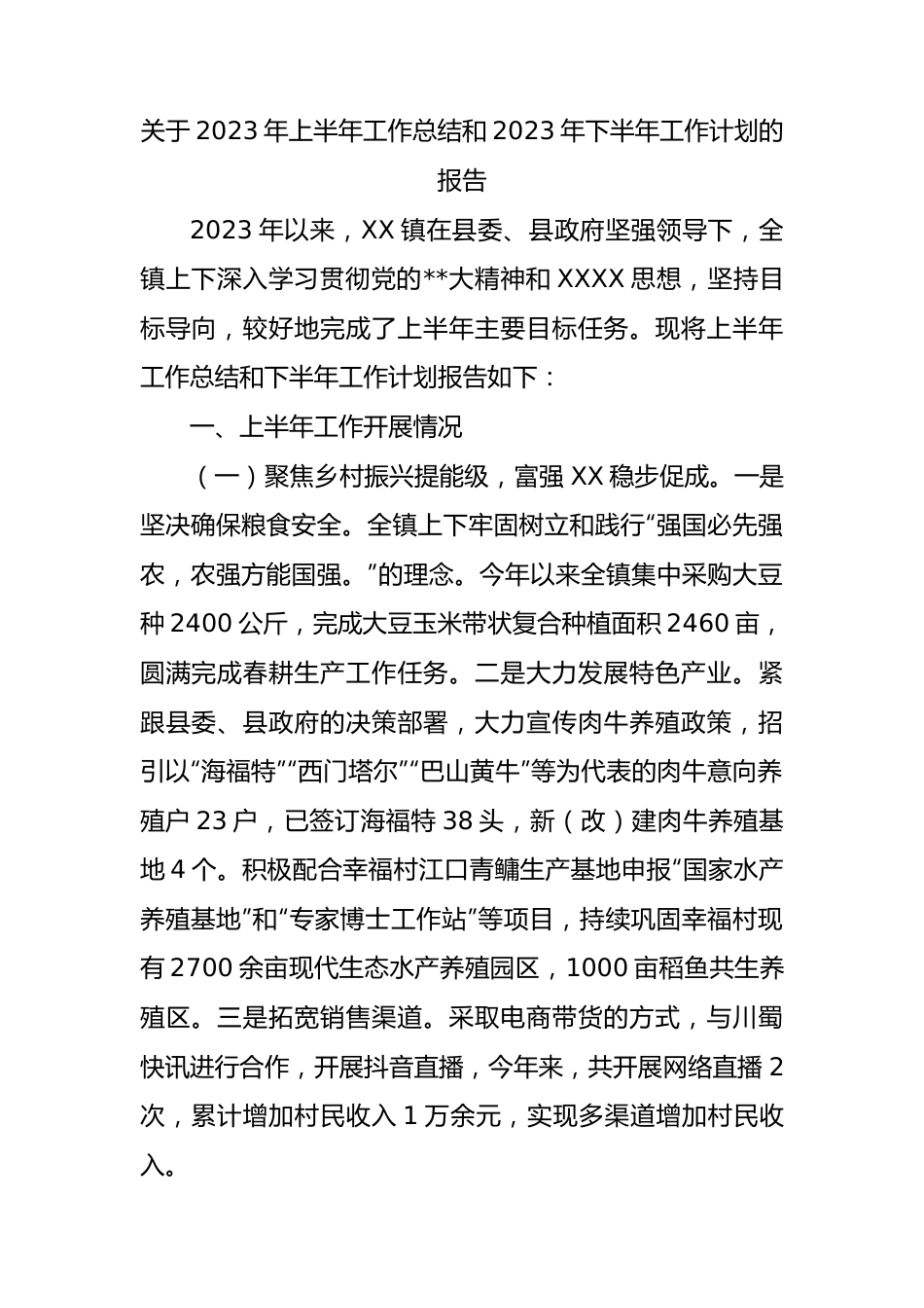 2023年上半年工作总结和2023年下半年工作计划的报告.docx_第1页