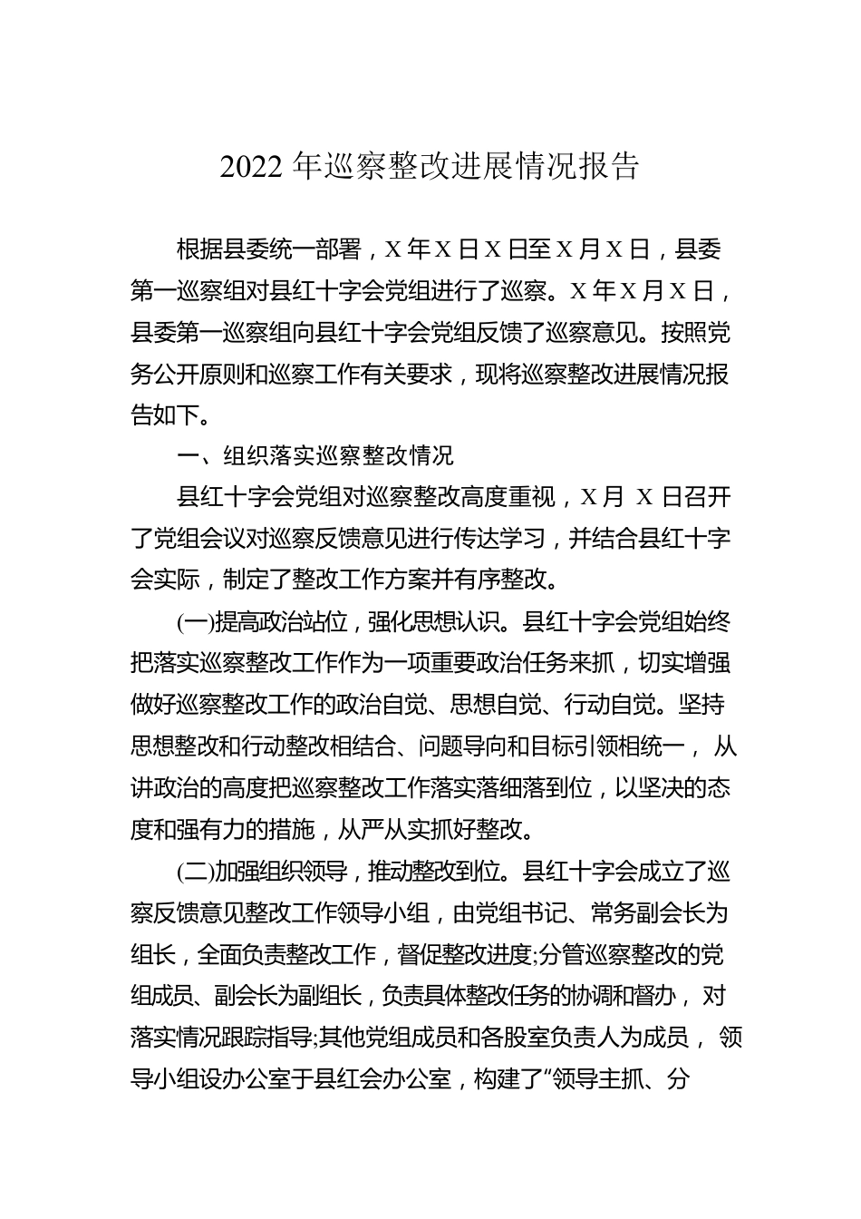 2022年巡察整改进展情况报告.docx_第1页