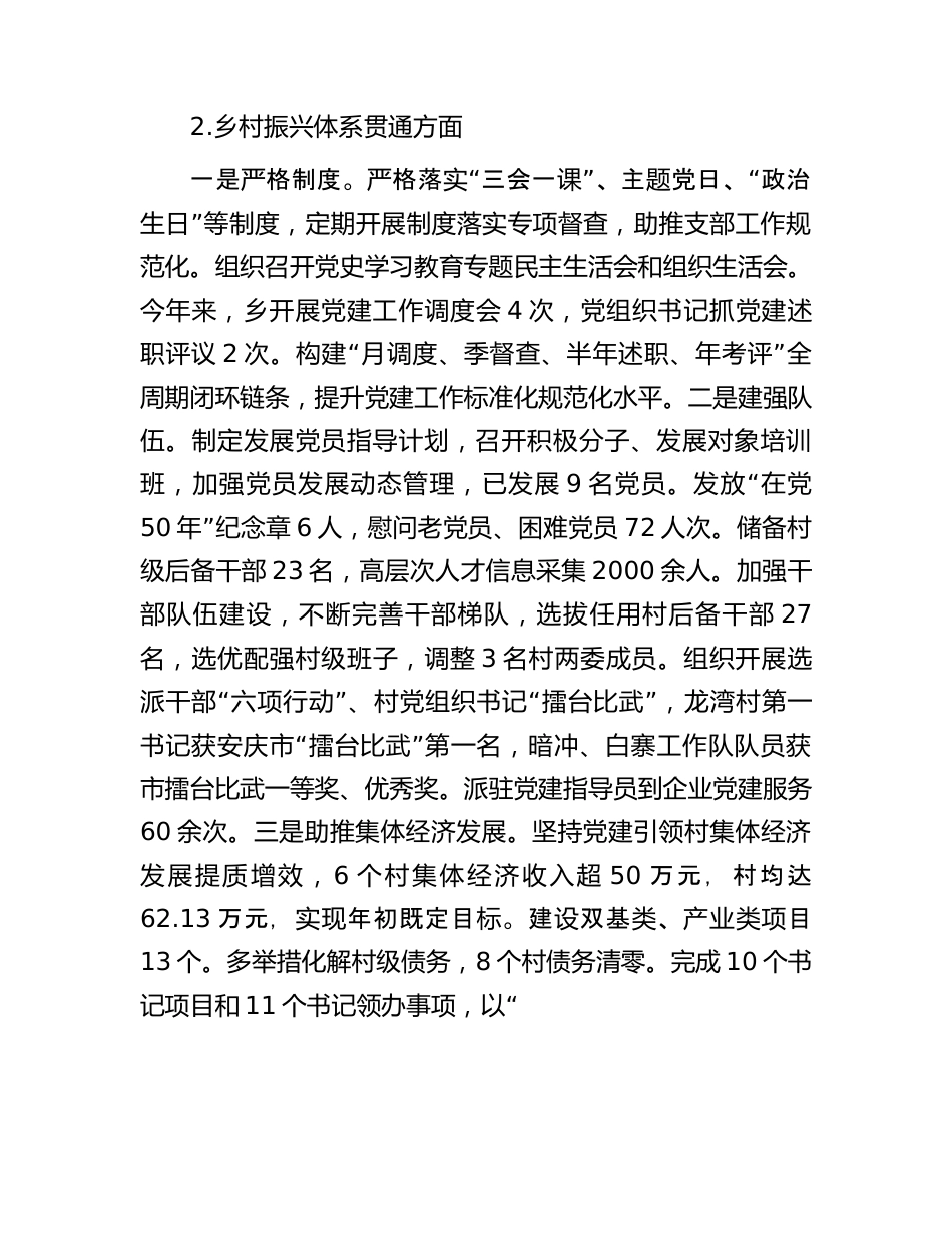 某乡乡村组织振兴实施情况工作报告.docx_第3页