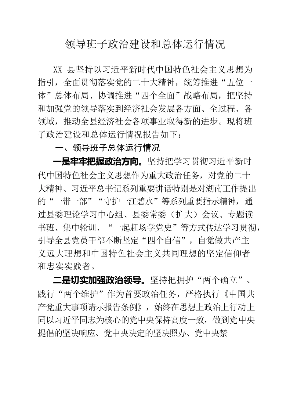 202306领导班子政治建设和总体运行情况报告.docx_第1页