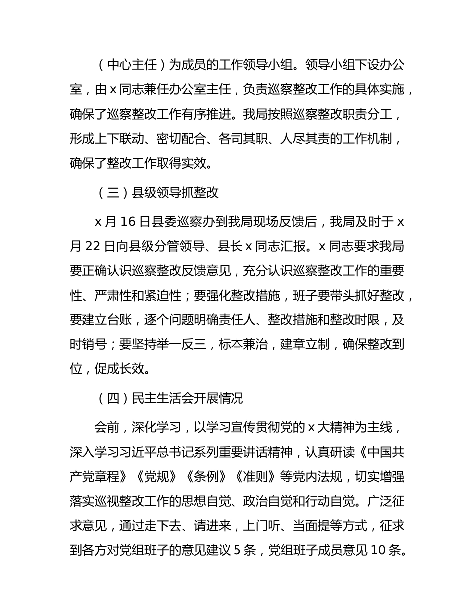 巡察反馈意见的整改情况总结报告（审计6200字）.docx_第3页