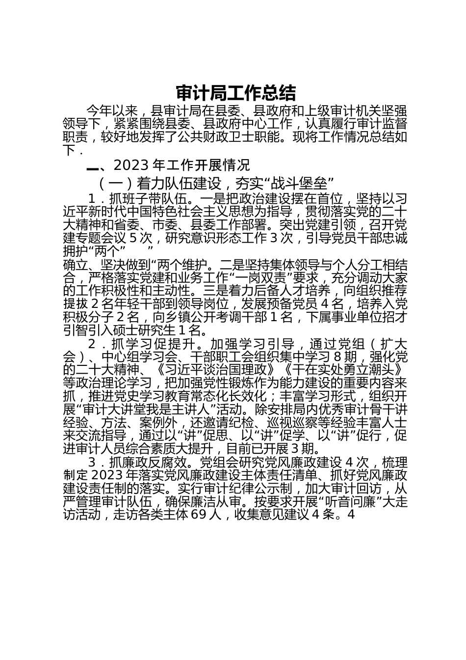 审计局工作总结.docx_第1页