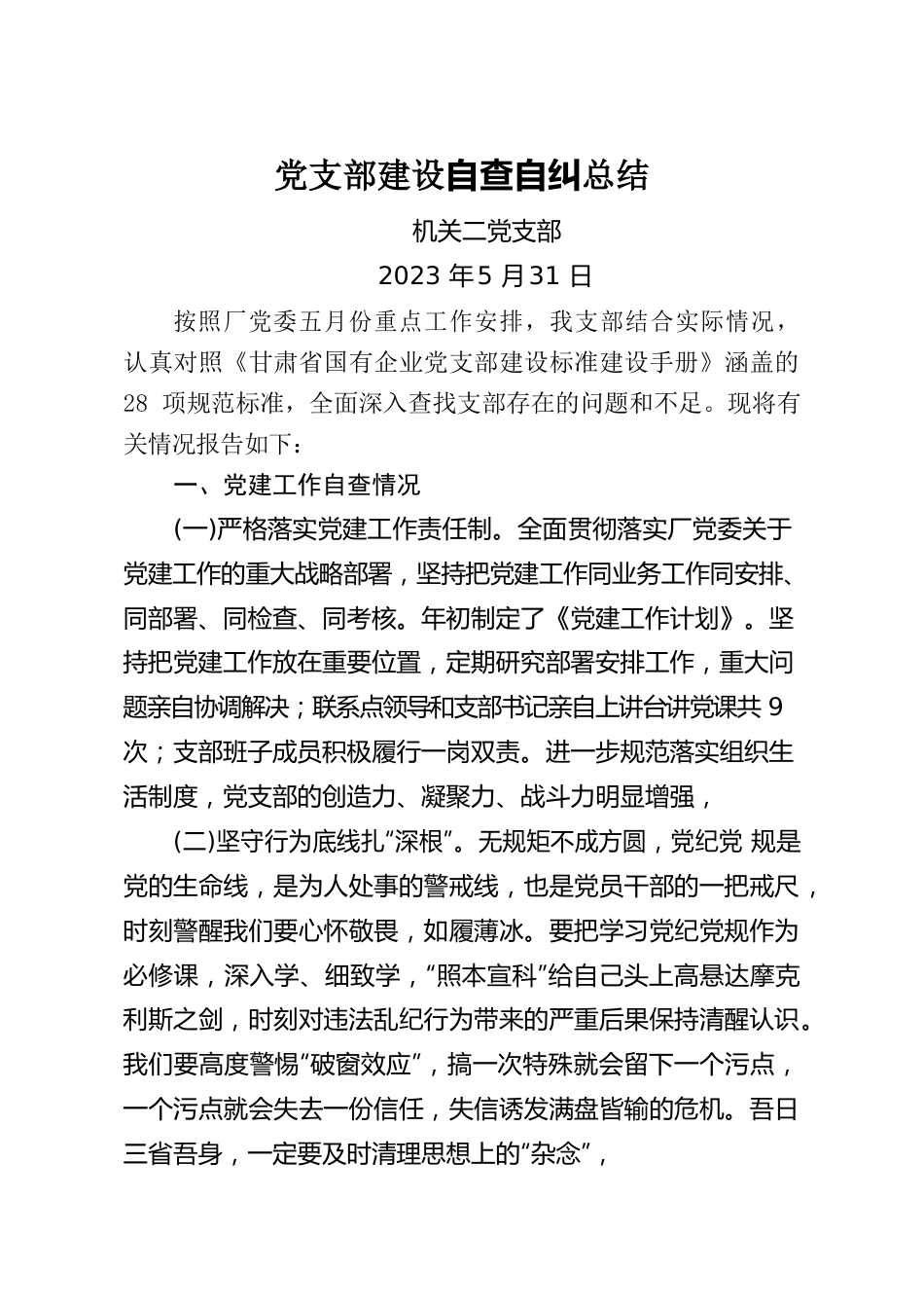 党支部建设自查自纠总结.docx_第1页