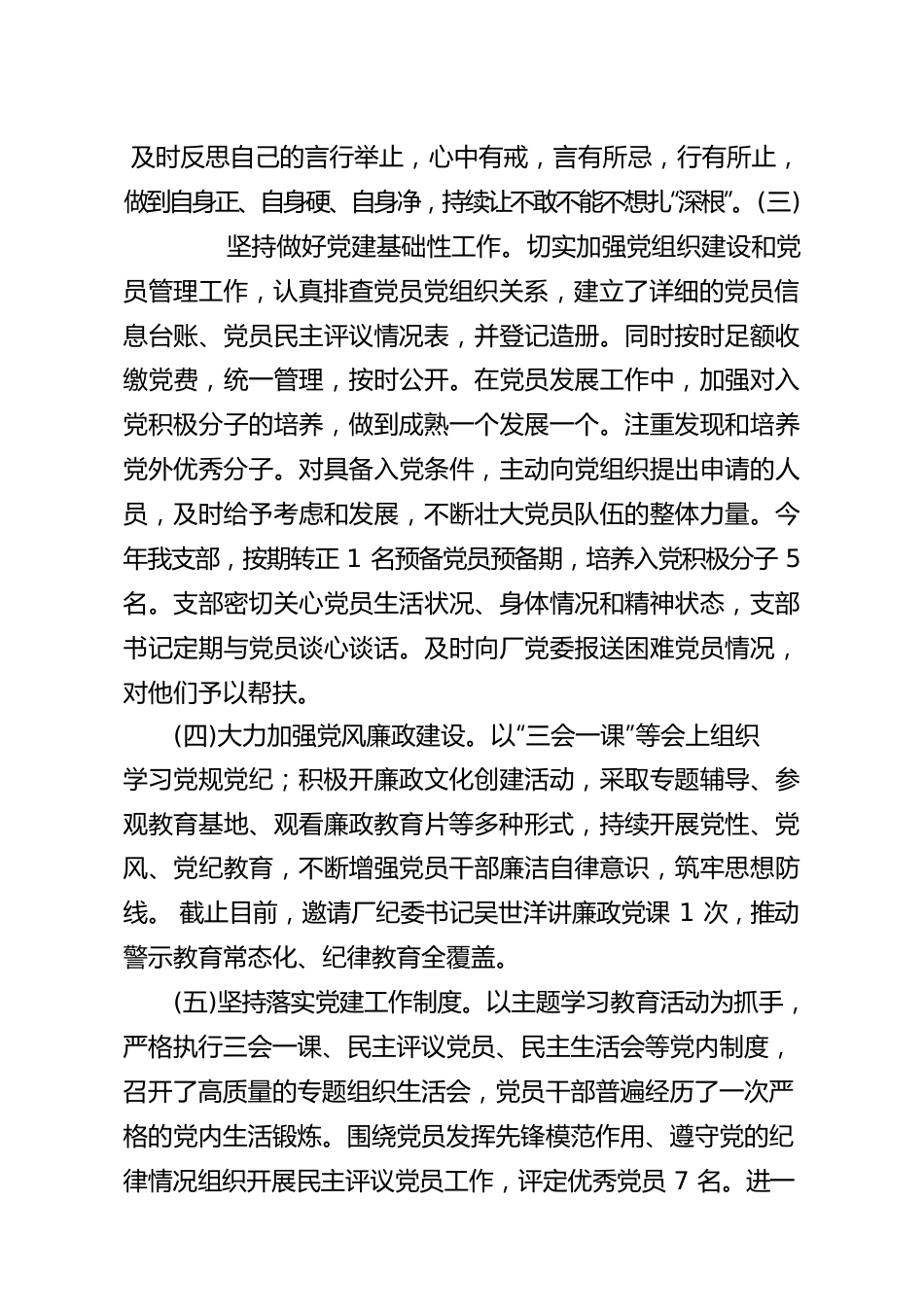 党支部建设自查自纠总结.docx_第2页