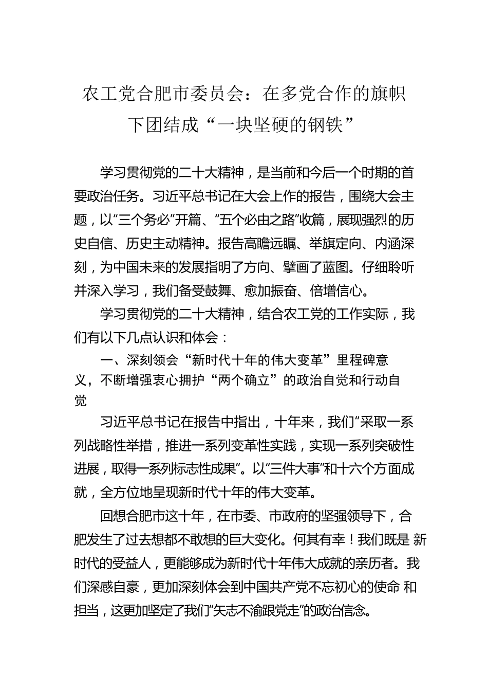 农工党合肥市委员会：在多党合作的旗帜下团结成“一块坚硬的钢铁”（20221111）.docx_第1页