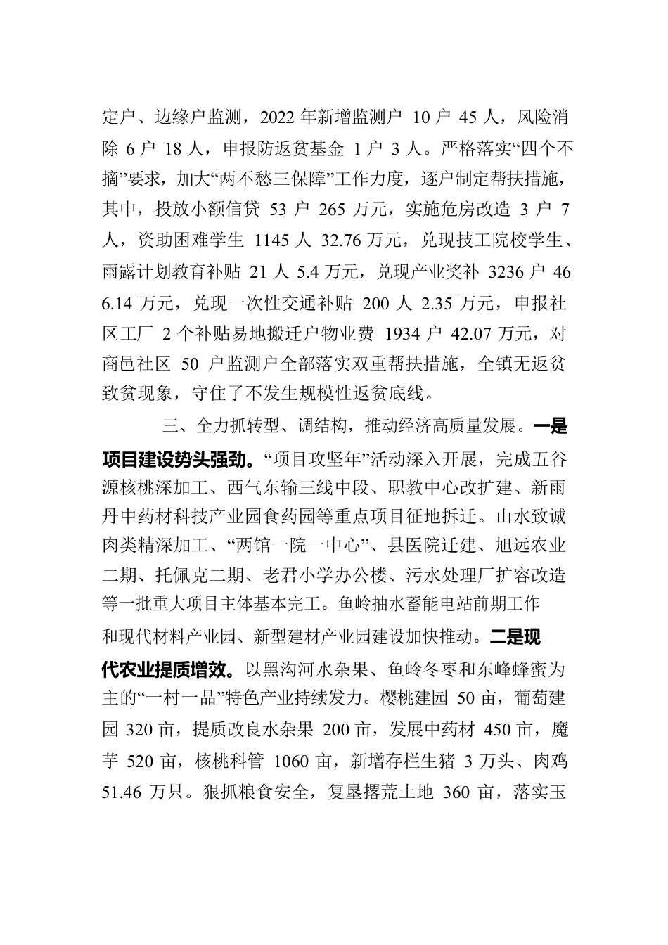 商镇政府2022年总结2023年计划.docx_第2页