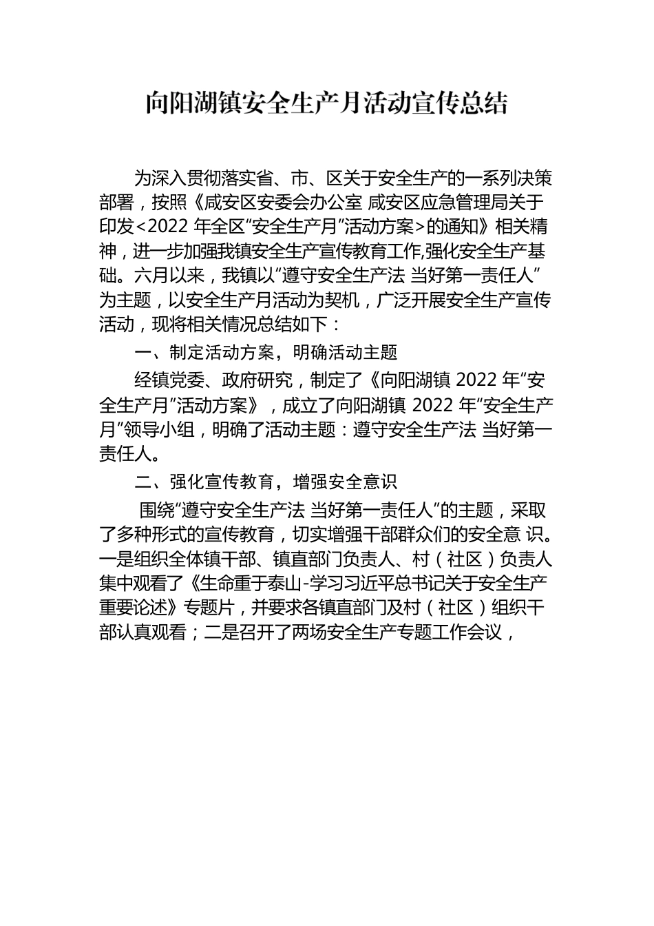 向阳湖镇安全生产月活动宣传总结.docx_第1页