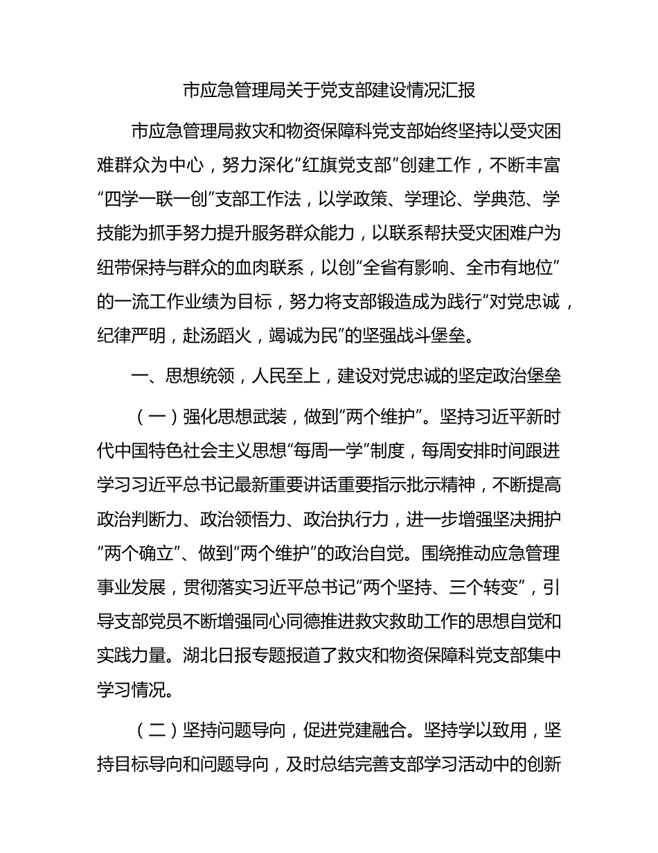 市应急管理系统近年来党支部建设情况总结汇报.docx_第1页