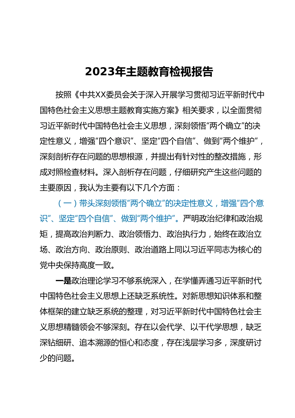 2023年主题教育检视报告.docx_第1页