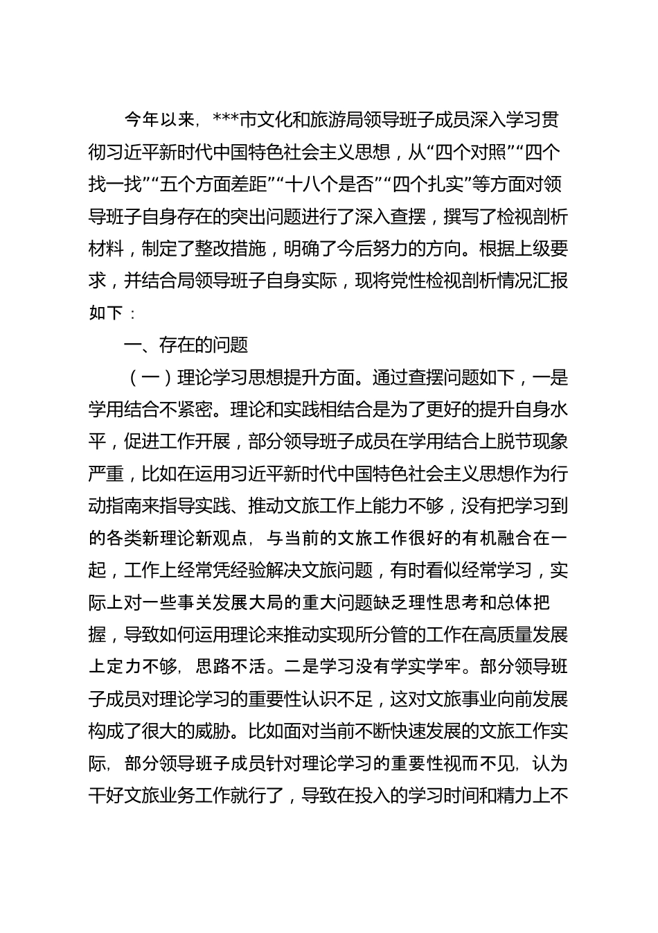 文化和旅游局领导班子党性检视剖析材料.docx_第2页