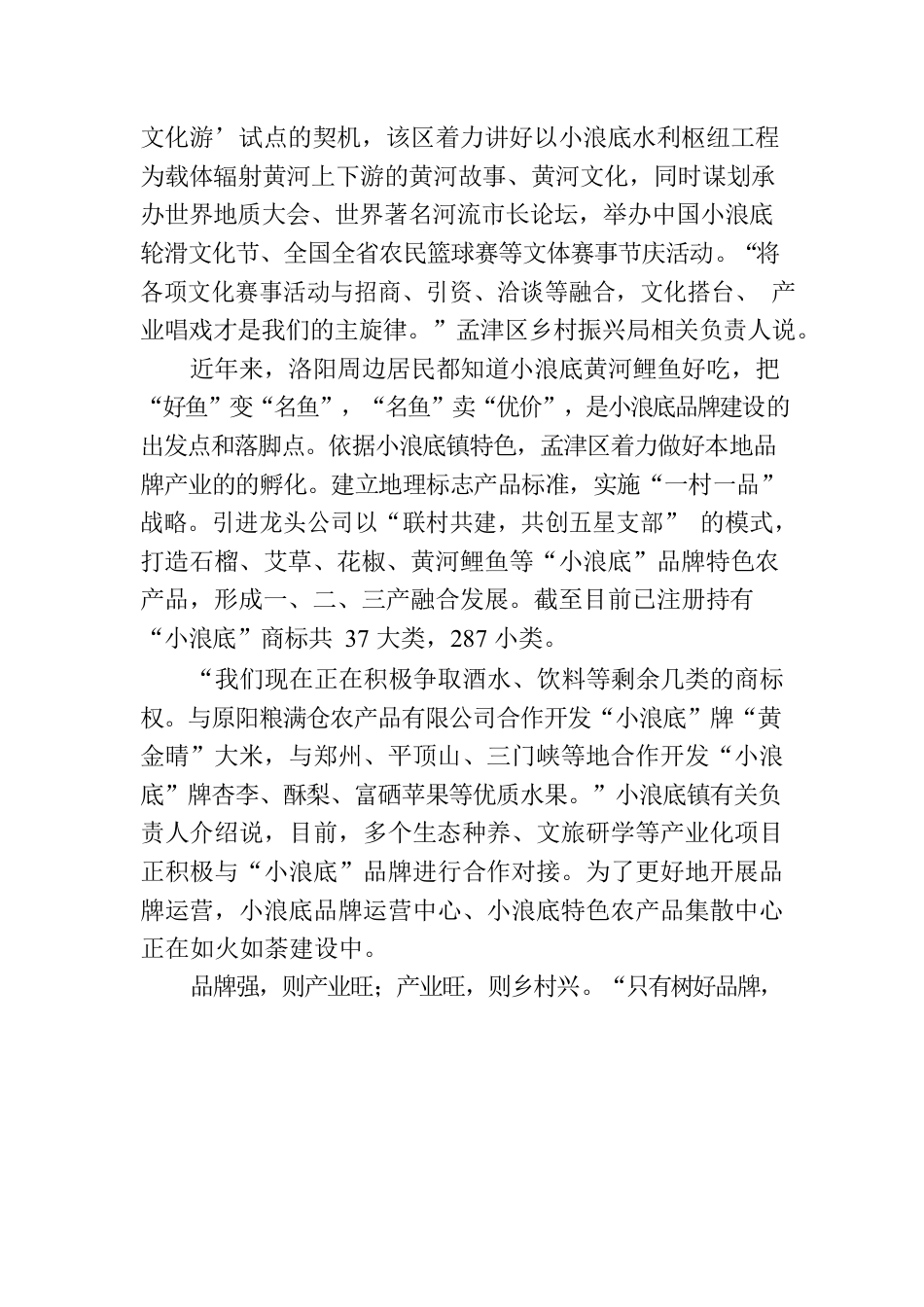 洛阳市孟津区：“小浪底轮滑文化节”品牌赋能乡村运营.docx_第2页