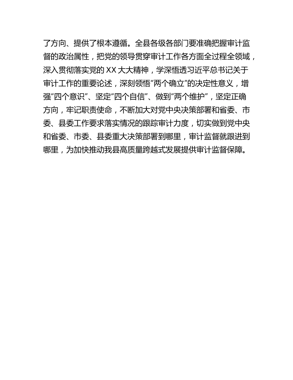 20230319：在县委审计委员会会议上的讲话.docx_第3页