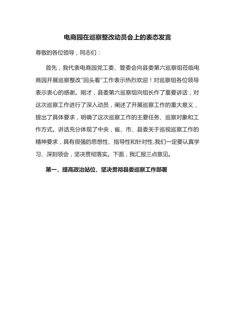 电商园在巡察整改动员会上的表态发言.docx_第1页