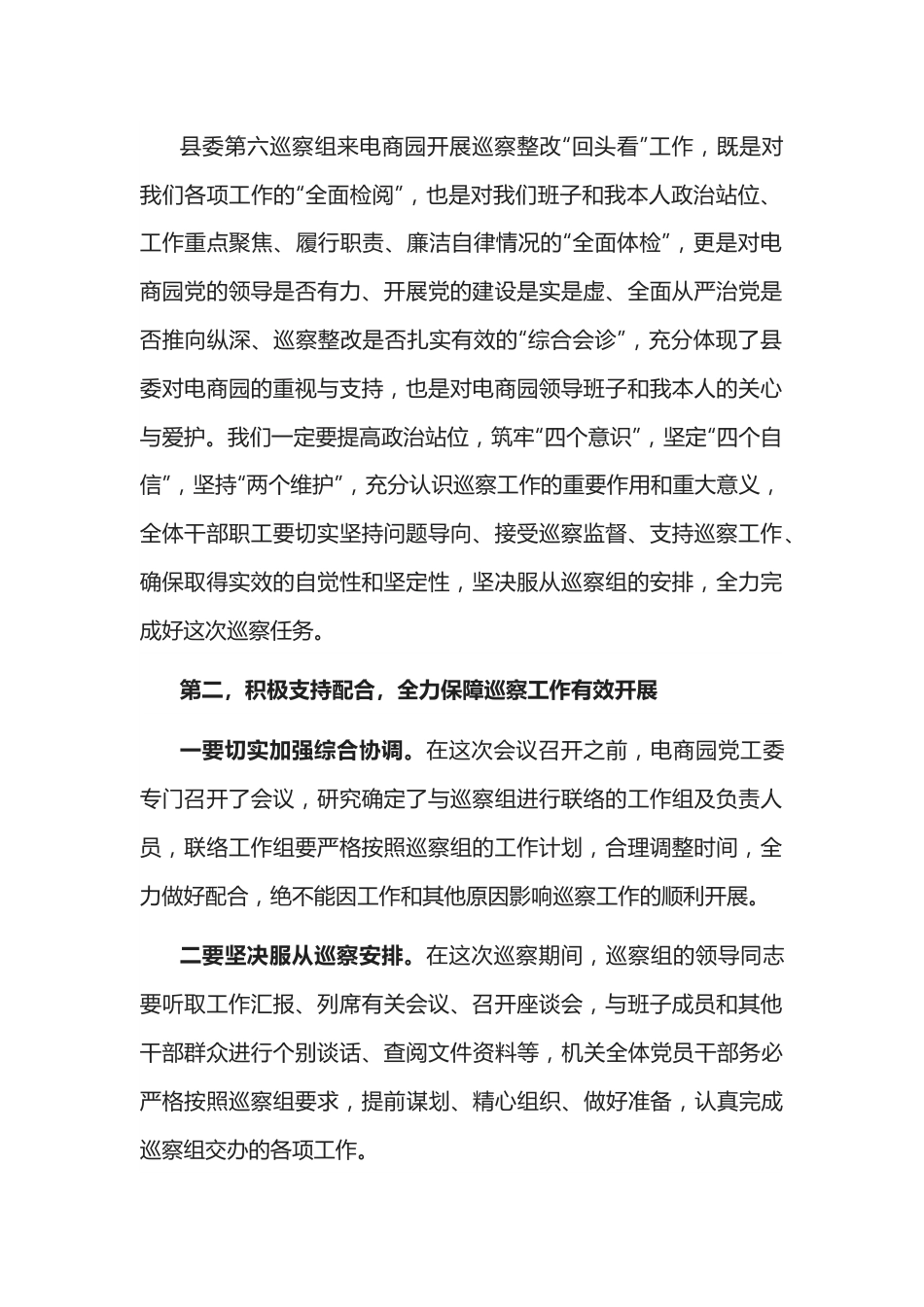 电商园在巡察整改动员会上的表态发言.docx_第2页