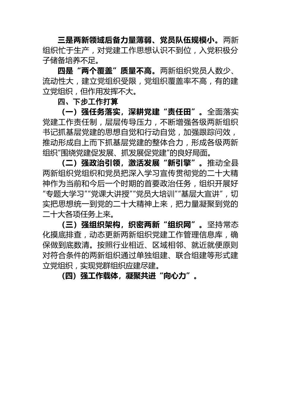 【述职报告】2022年两新组织工委书记抓基层党建工作述职报告.docx_第3页