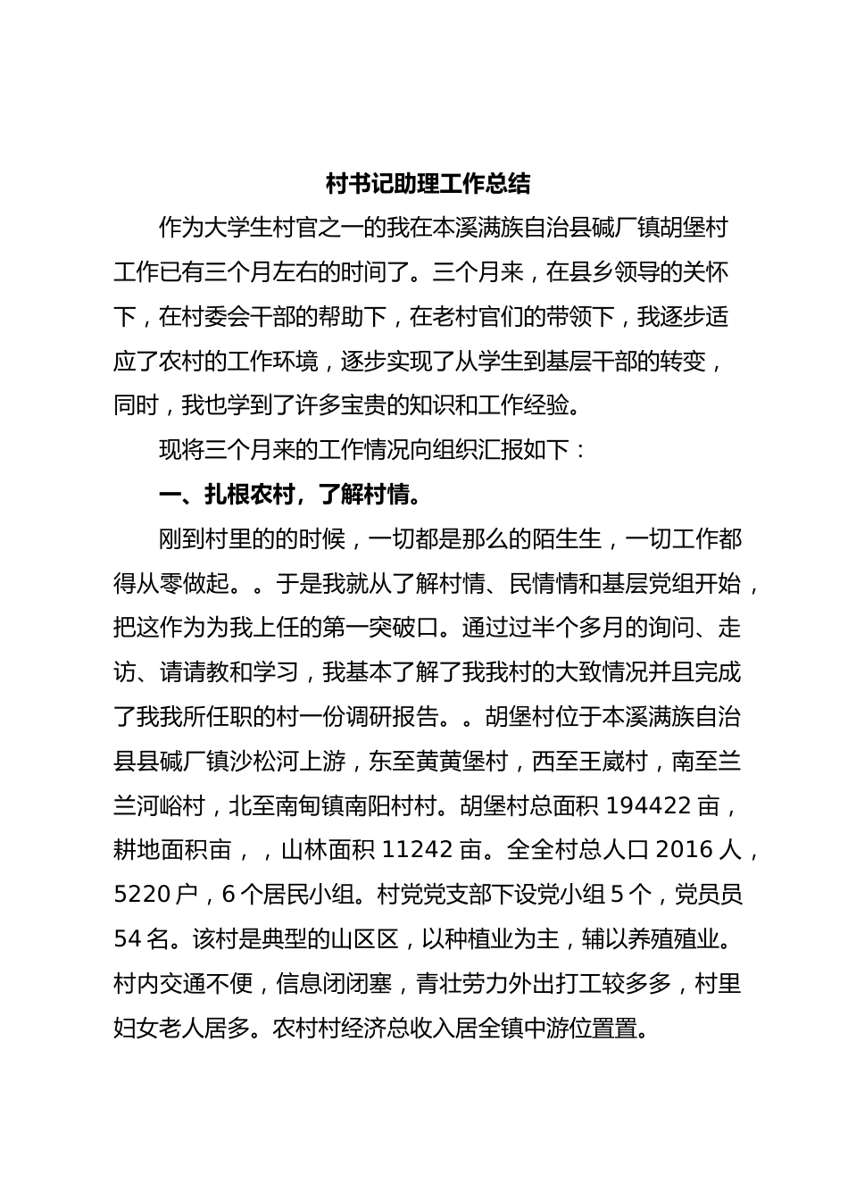 村书记助理工作总结.docx_第1页