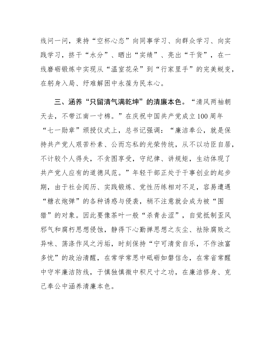 2024年青年干部座谈交流发言材料.docx_第3页