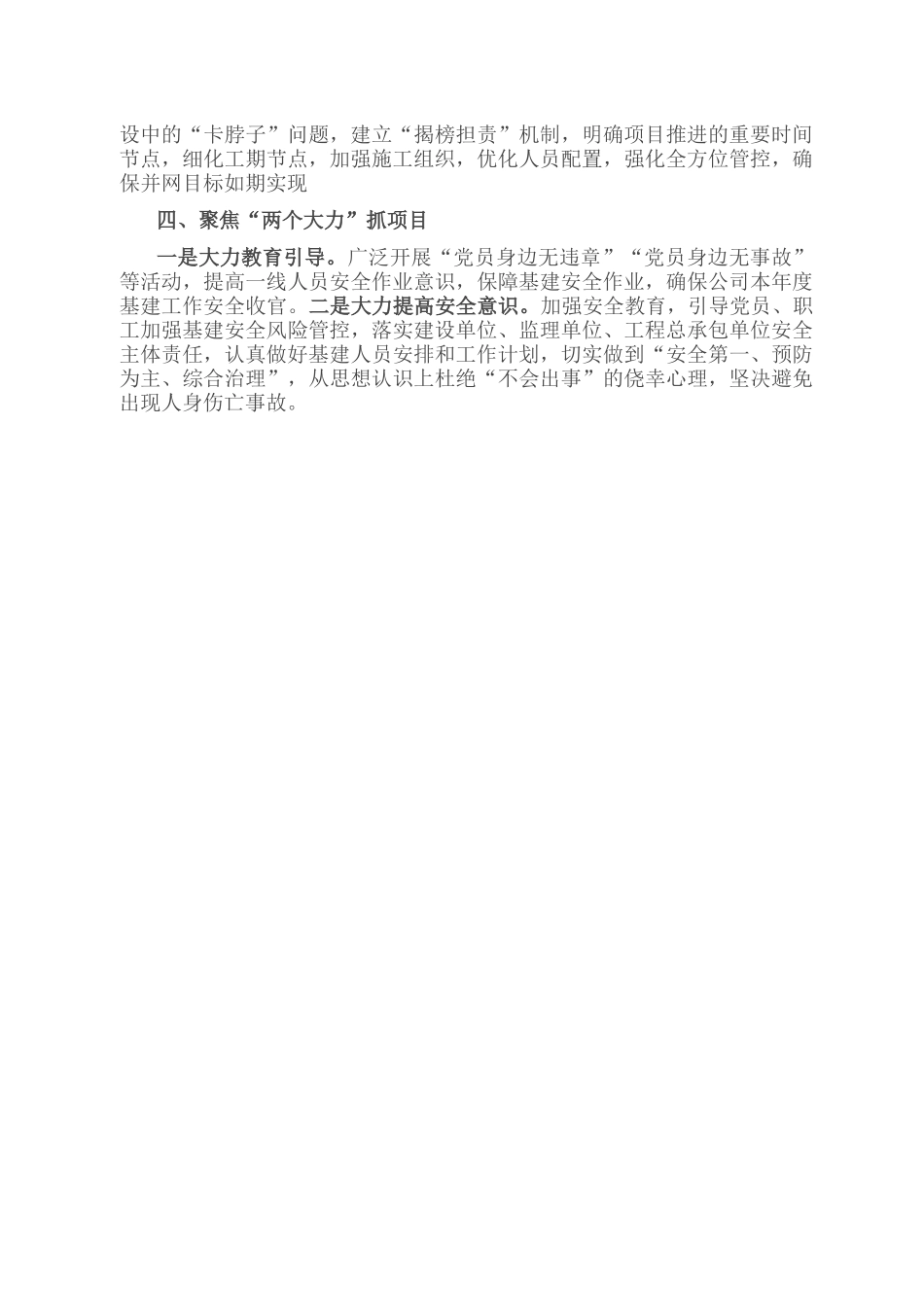 公司坚持DJ引领抓项目建设发言材料.docx_第2页