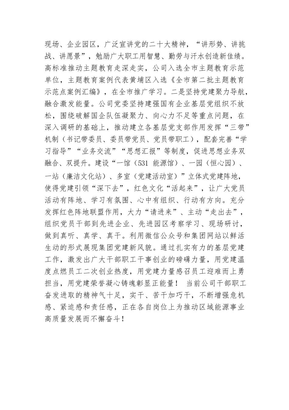 公司党委关于落实全面从严治党主体责任情况的总结报告.docx.docx_第2页