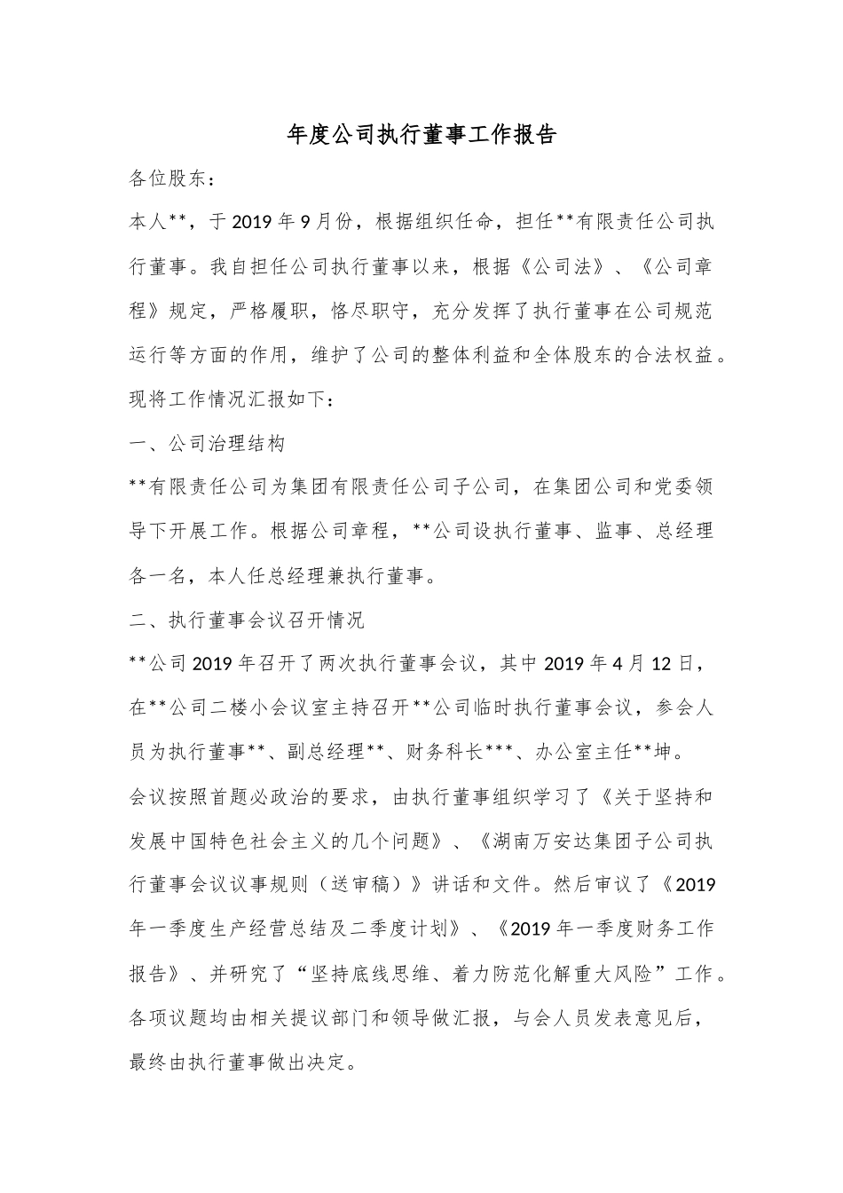 年度公司执行董事工作报告.docx_第1页