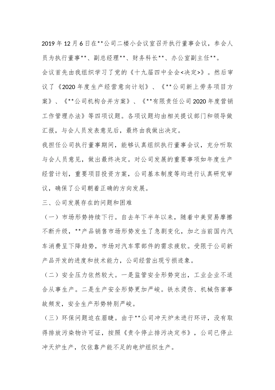 年度公司执行董事工作报告.docx_第2页