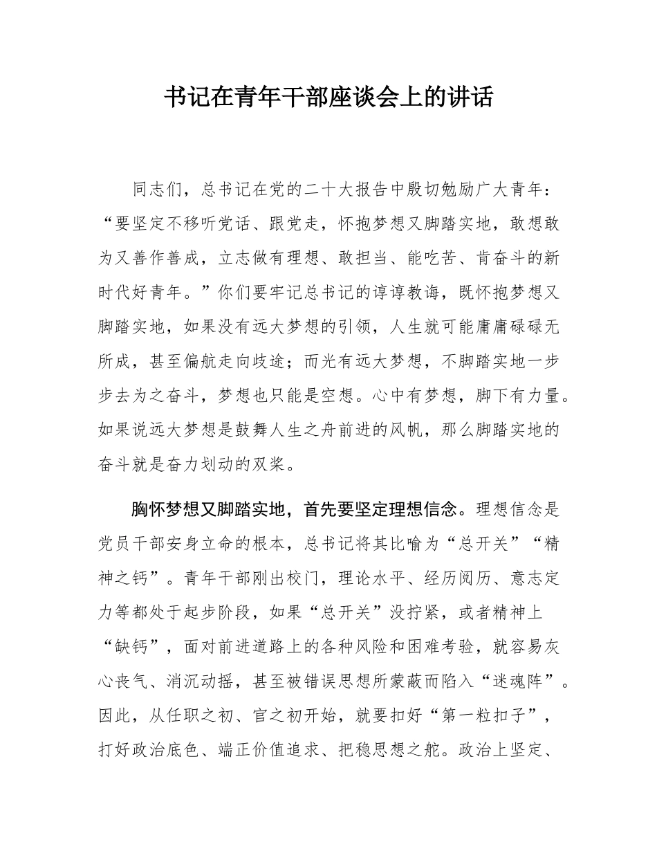 书记在青年干部座谈会上的讲话.docx_第1页