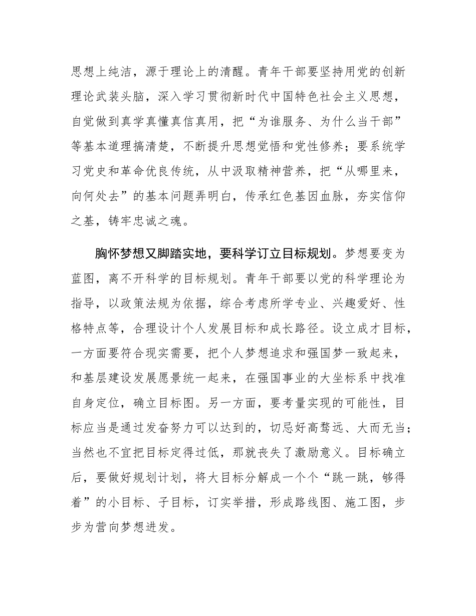 书记在青年干部座谈会上的讲话.docx_第2页