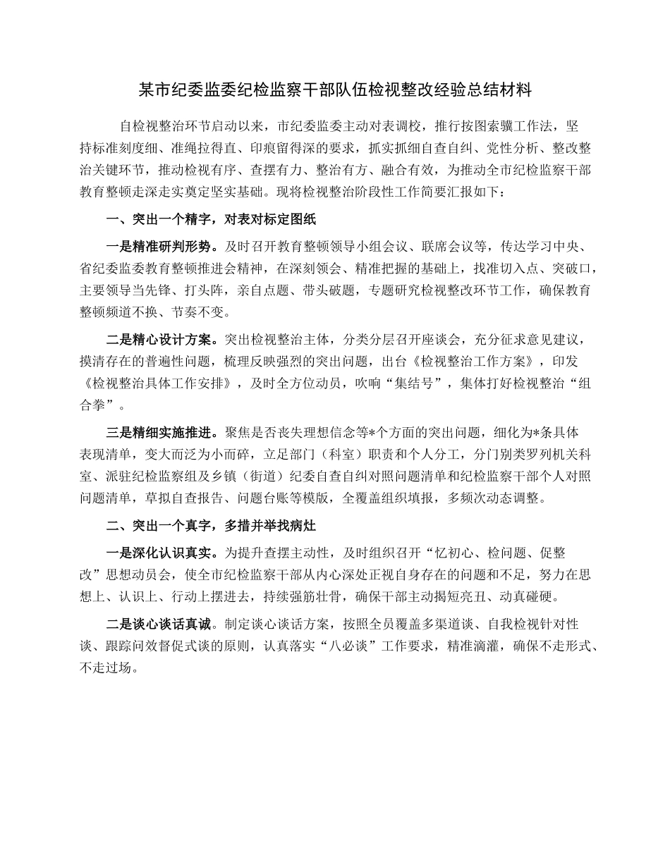 某市纪委监委纪检监察干部队伍检视整改经验总结材料.docx_第1页