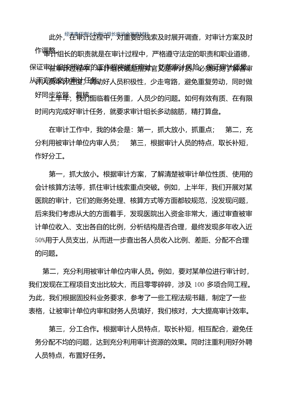 经济责任审计办审计组长座谈会发言材料.docx_第2页