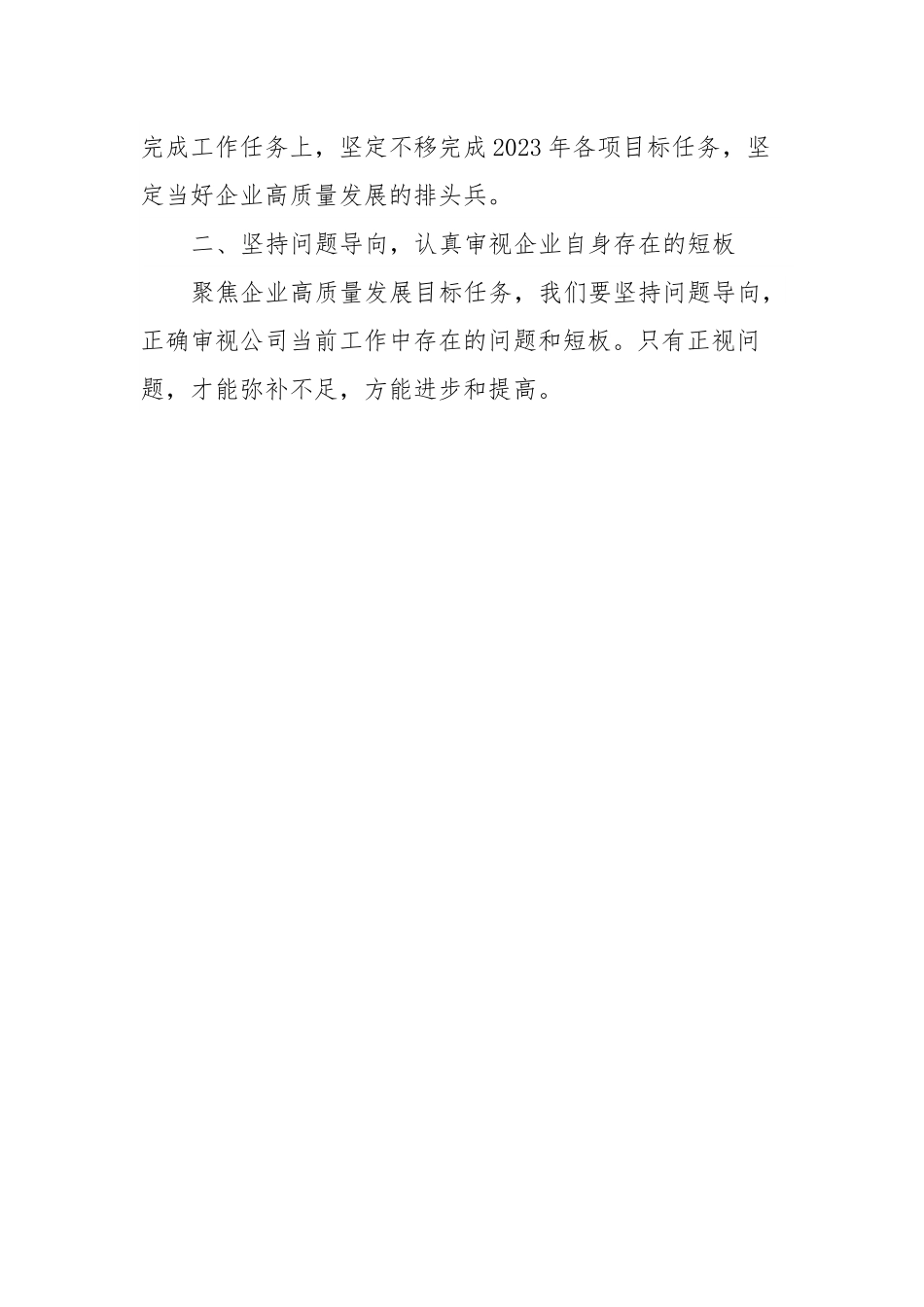 2023年度公司务虚会发言材料.docx_第3页